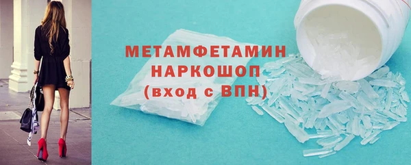 шишки Надым