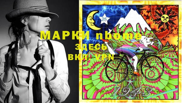 шишки Надым