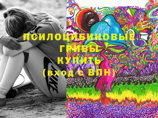 амф Анжеро-Судженск