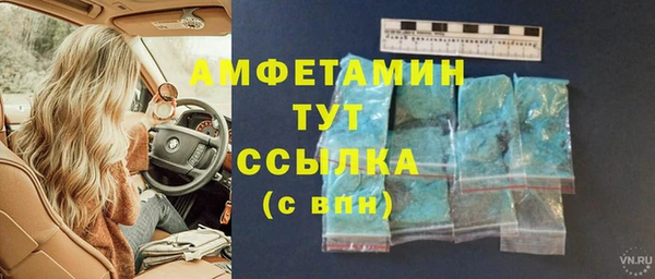 шишки Надым