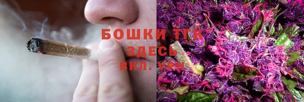 шишки Надым