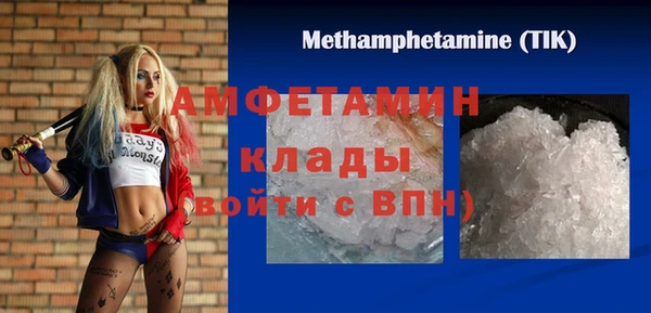 шишки Надым