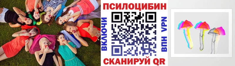 kraken онион  Чехов  Галлюциногенные грибы мицелий  купить закладку 